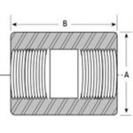 Full Coupling NPT #3000 SS316