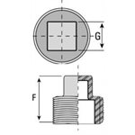 Square plug NPT #150 SS316