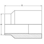 Adaptor 22WB 1 1 / 2" tube x 1 1 / 2" NPT(F) SS316