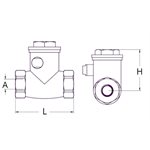 Swing check valve NPT #200 SS316