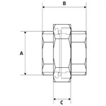 Union flat face PTFE - NPT #150 SS316