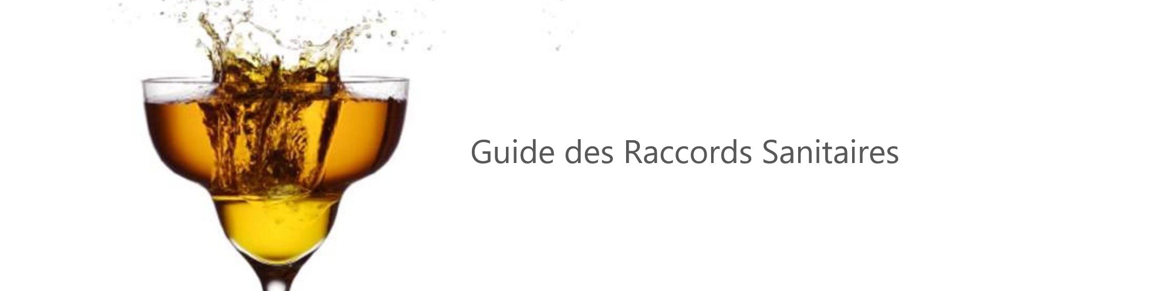 banner-guide-fr banner-guide-fr