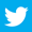 twitterIcon